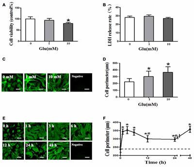 Aquaporin 4-Mediated Glutamate-Induced Astrocyte Swelling Is Partially Mediated through Metabotropic Glutamate Receptor 5 Activation